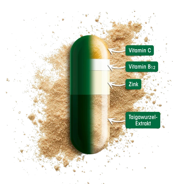 ELEUCOC Kapsel-Zusammensetzung: Vitamin C, Vitamin B12, Zink-Bisglycinat, Taigawurzel-Extrakt